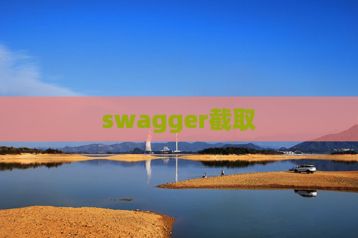 swagger截取